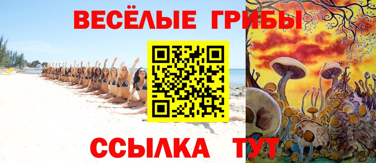 Горно-Алтайск  Псилоцибиновые грибы Magic Shrooms  Вход с VPN  Псилоцибиновые грибы ЛСД 