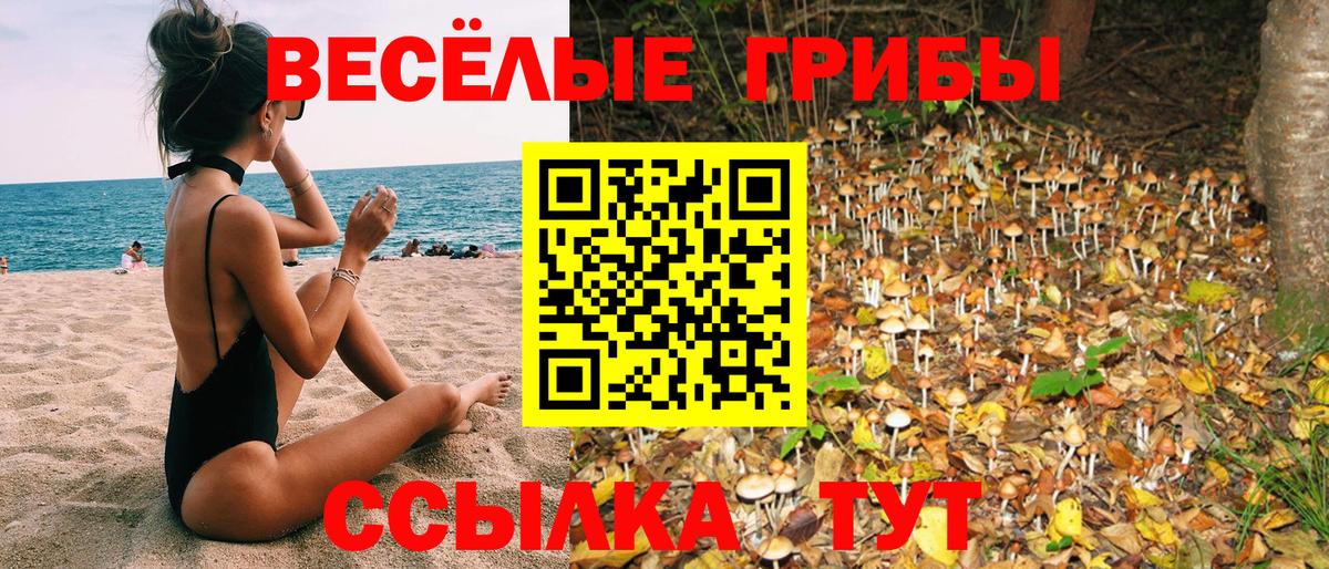 Галлюциногенные грибы GOLDEN TEACHER Горно-Алтайск